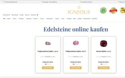 Webshop Referenzprojekt IGNEOUS